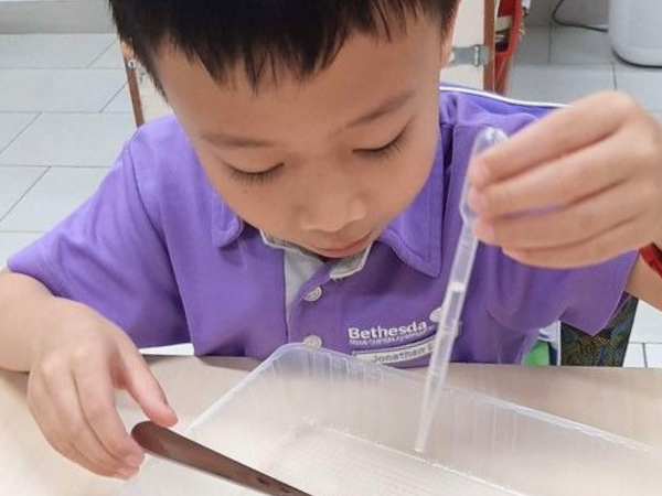 Boy conducting a science experiment